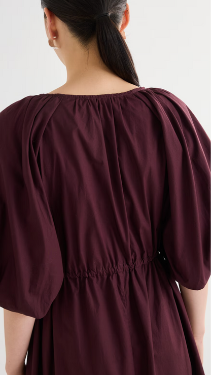 Camille Shirred Dress