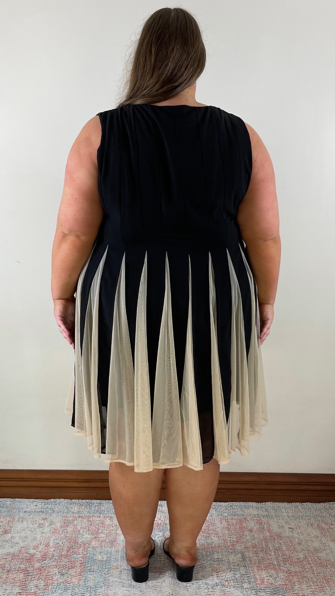 Mesh Fit and Flare Dress