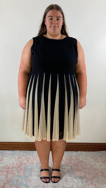 Mesh Fit and Flare Dress
